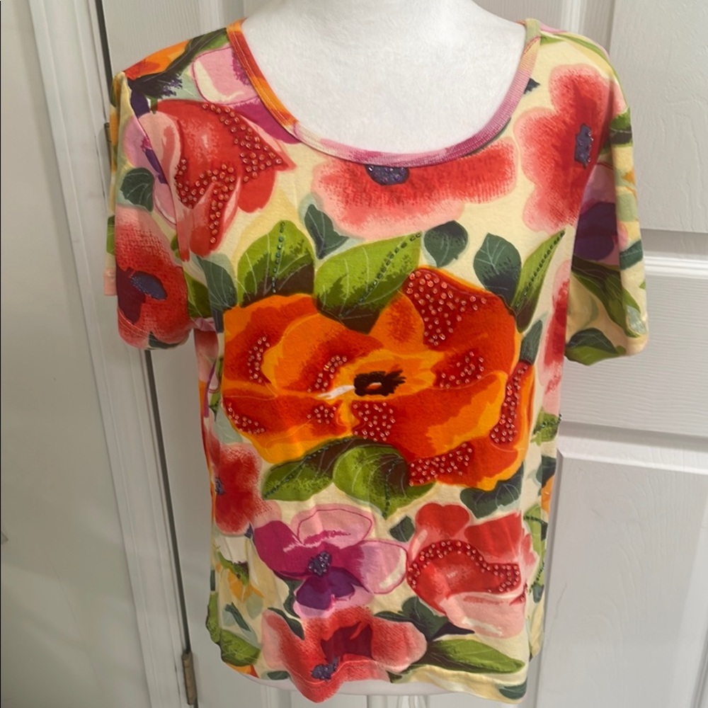 TAKE TWO CLOTHING CO. POPOVER TOP NWOT SIZE LARGE